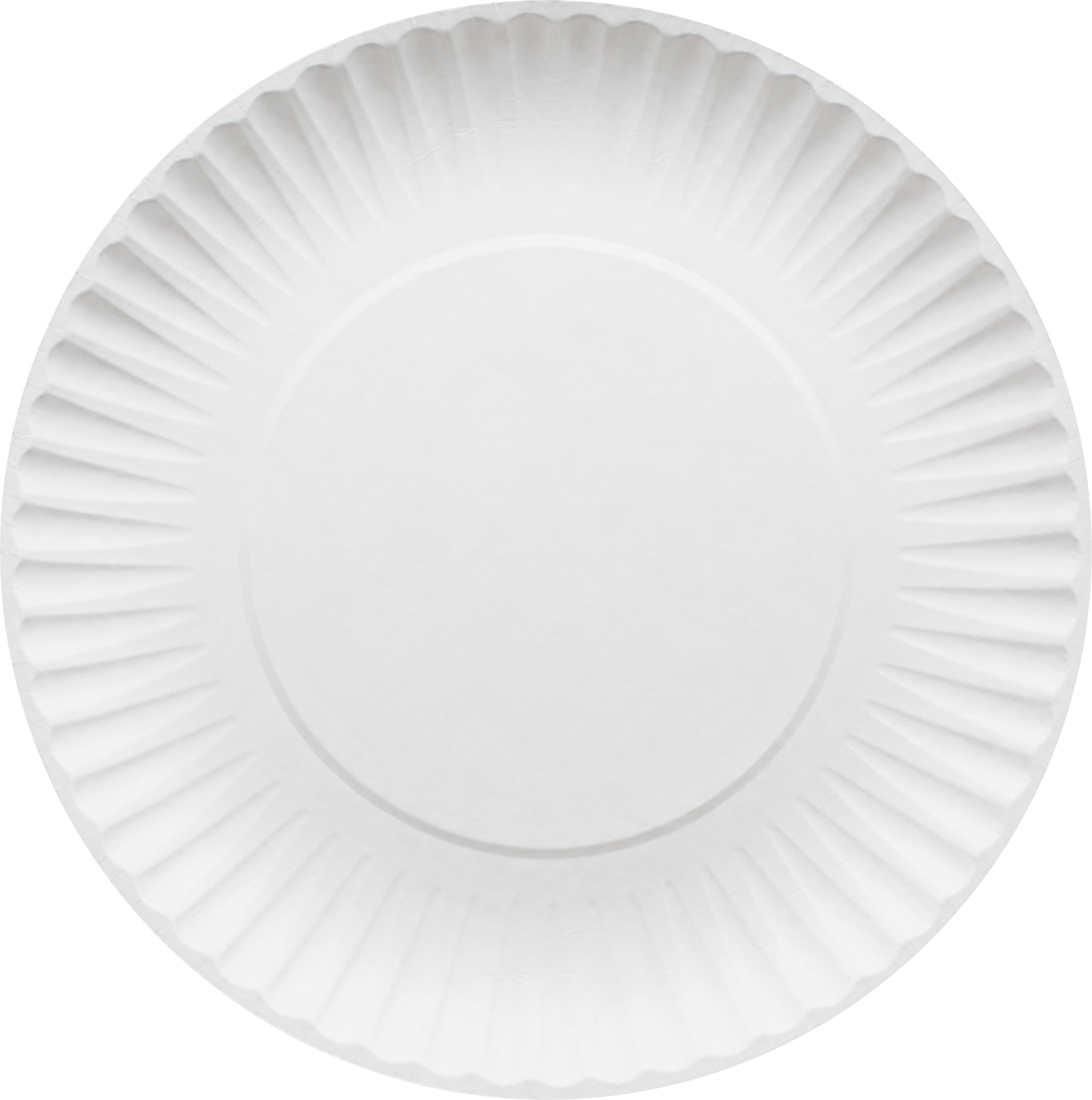 PLATO DE CARTÓN LISO  #2