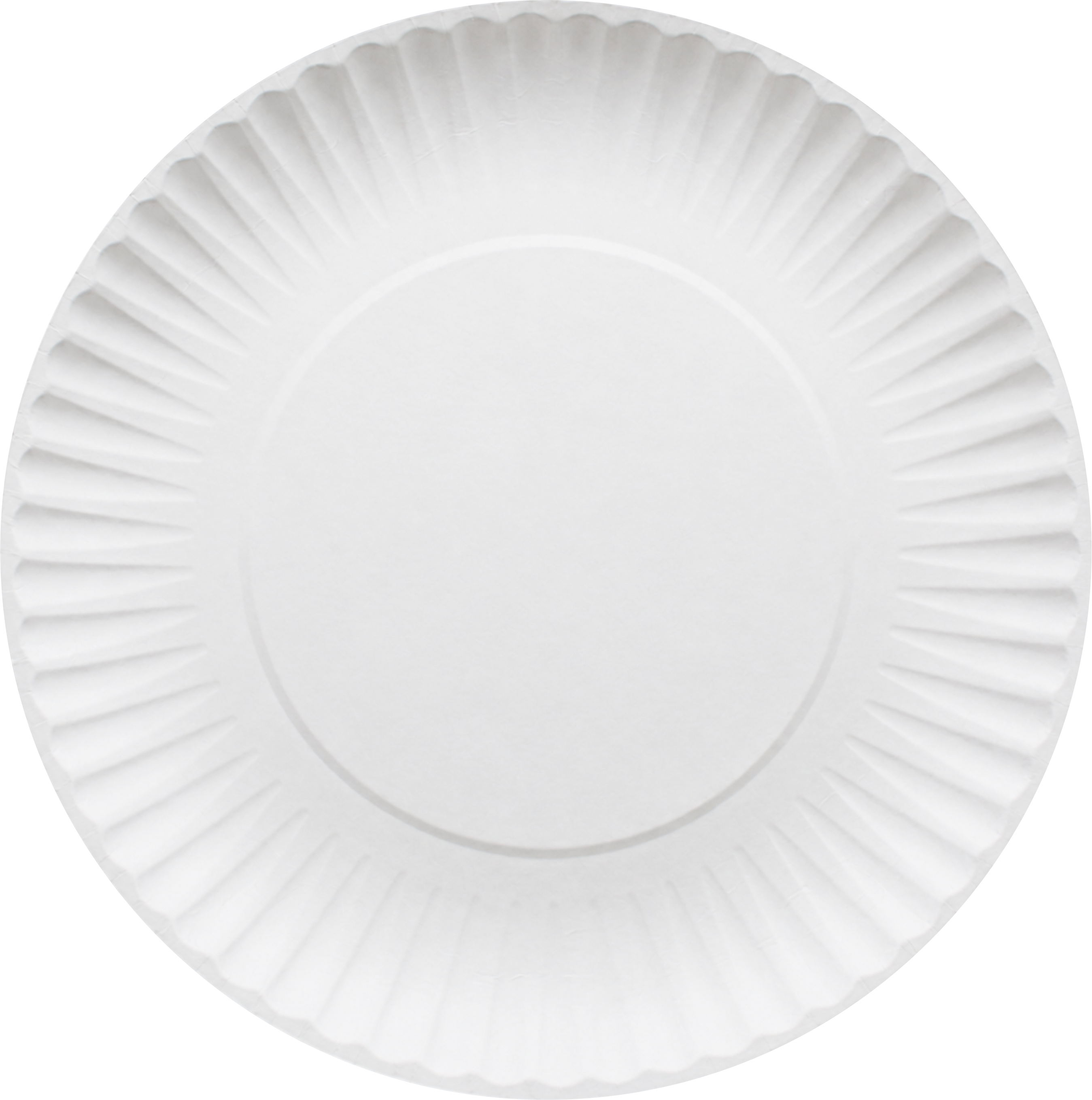PLATO DE CARTÓN LISO  #3