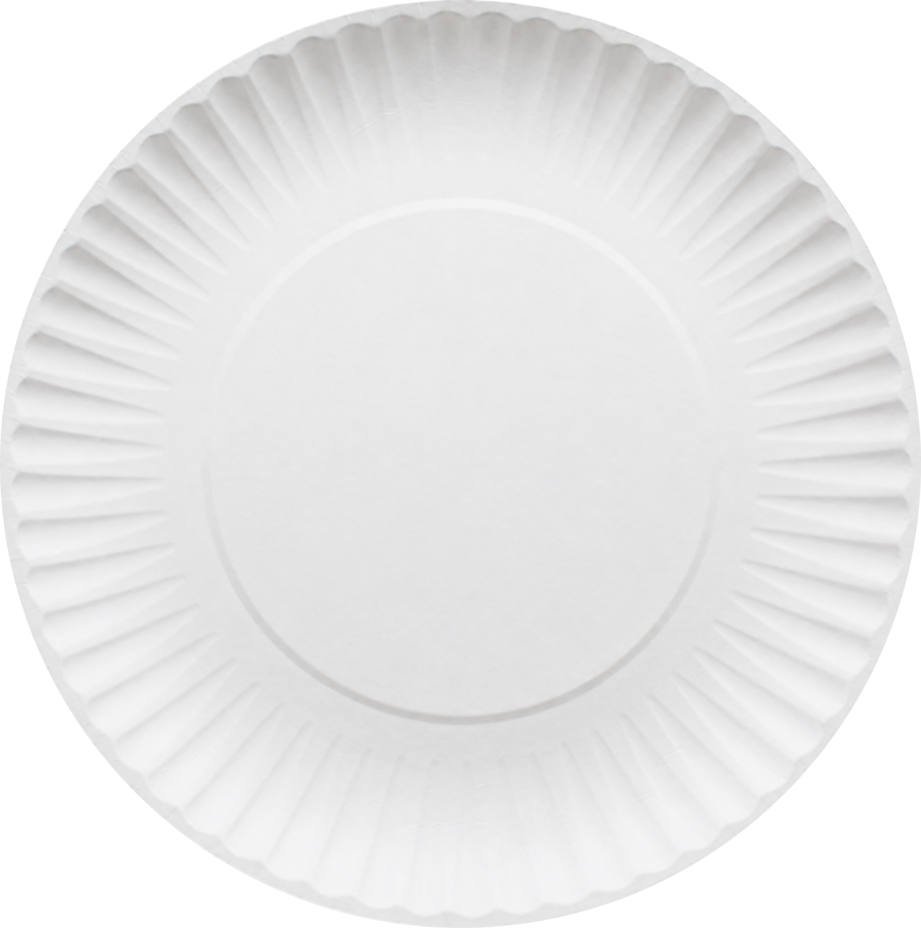 PLATO  DE CARTÓN LISO  #5
