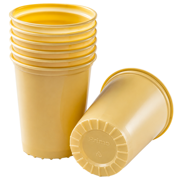 Vaso Color Sólido